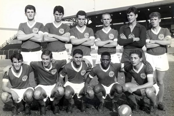 Palmeiras da década de 60